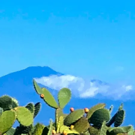 Sbarcatore Dei Turchi Dimore *